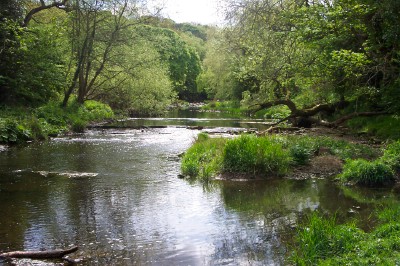 River Blyth at the Free Woods